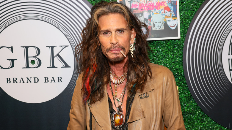 Steven Tyler posant