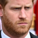 Le prince Harry affirme que le sort de la princesse Diana l’a inquiété pour Meghan Markle