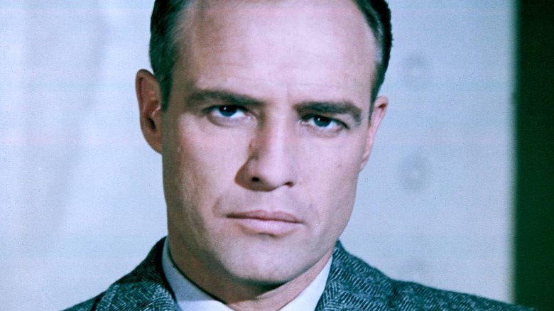 Marlon Brando regarde