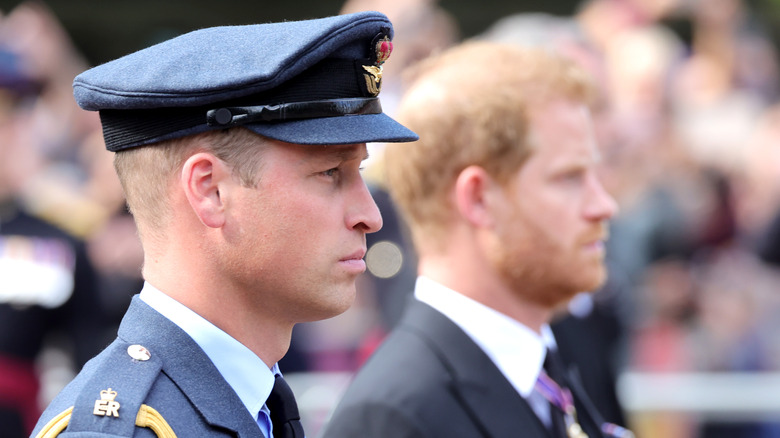 Le prince William et le prince Harry aux funérailles