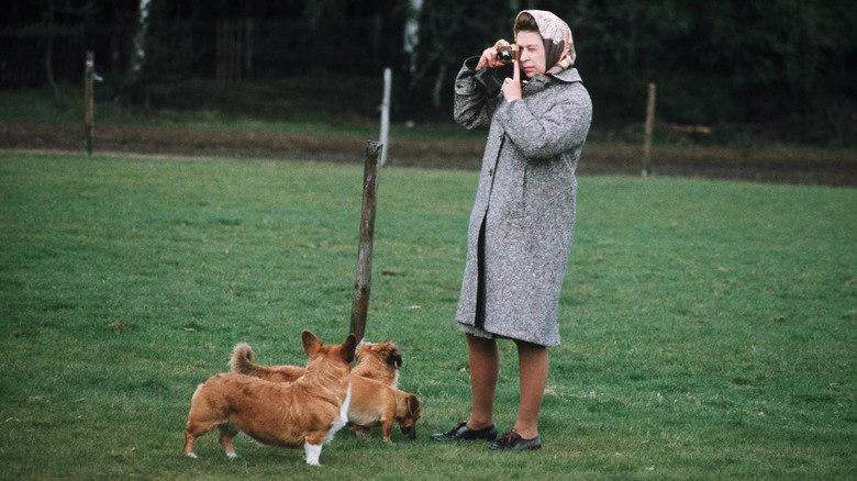 La reine Elizabeth prend une photo à côté de corgis 