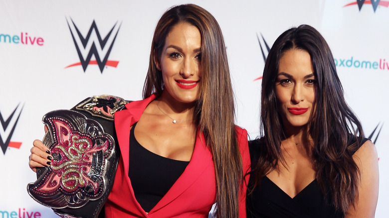 Les Bella Twins posant