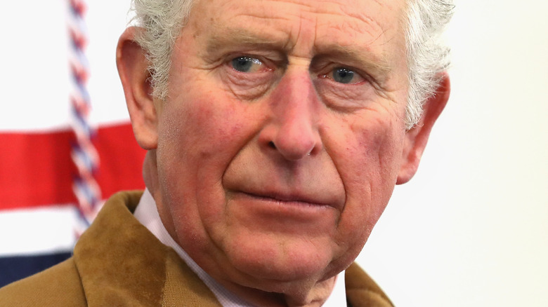 Le roi Charles II en habit marron 