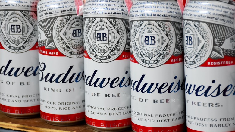 Canettes de Budweiser