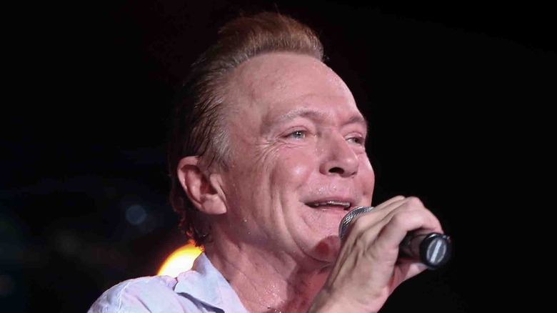 David Cassidy sur scène