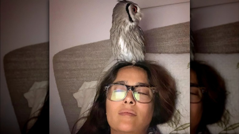 Salma Hayek avec un hibou sur la tête