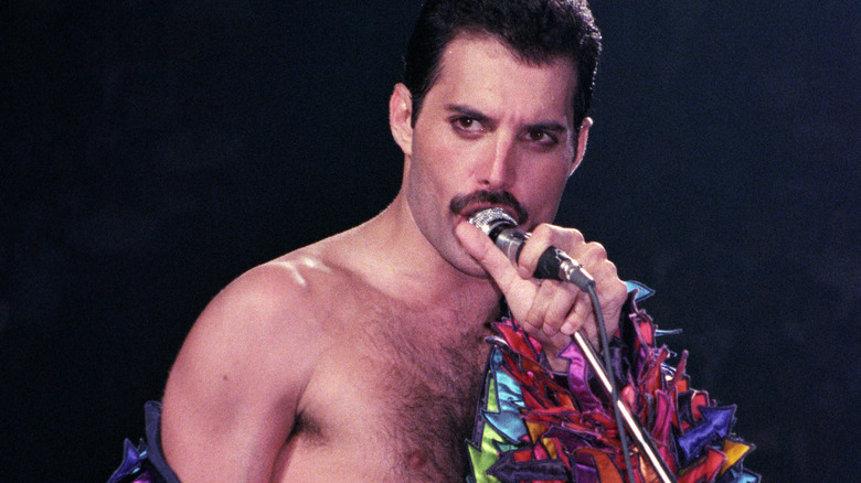 Freddie Mercury en spectacle