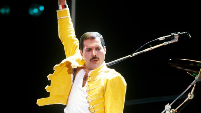 Freddie Mercury en spectacle