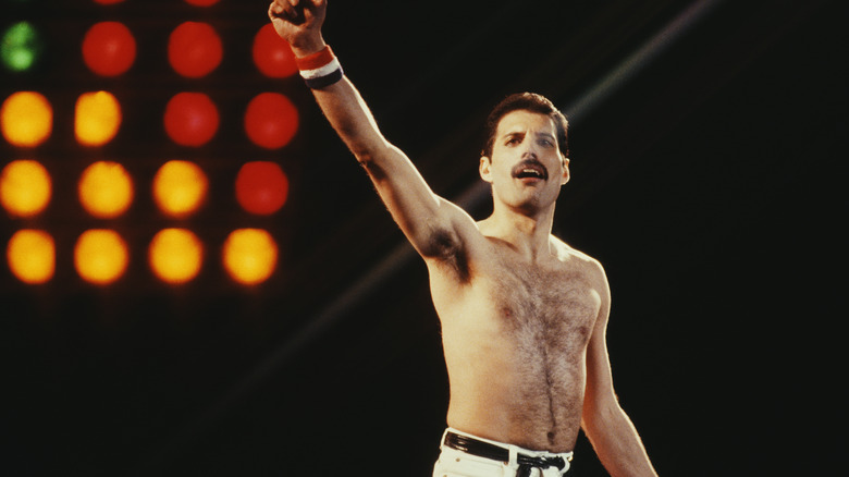 Freddie Mercury en spectacle