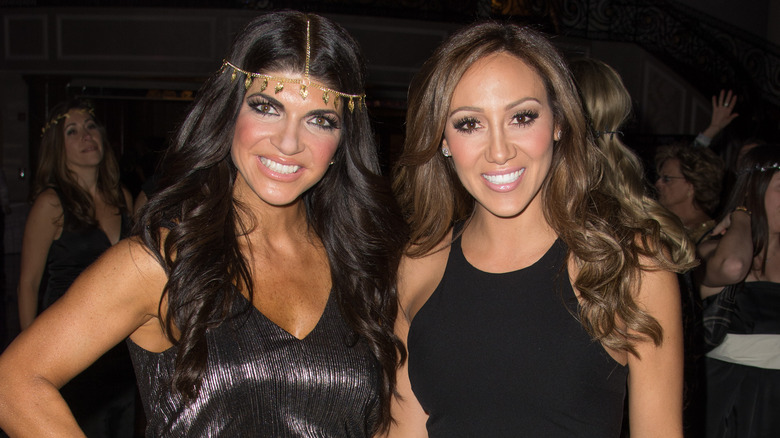 Teresa Giudice, Melissa Gorga, 2013 photo ensemble 