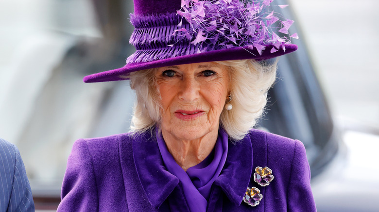 Camilla Parker Bowles souriante 