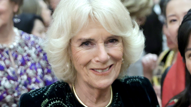 Camilla Parker Bowles souriante 