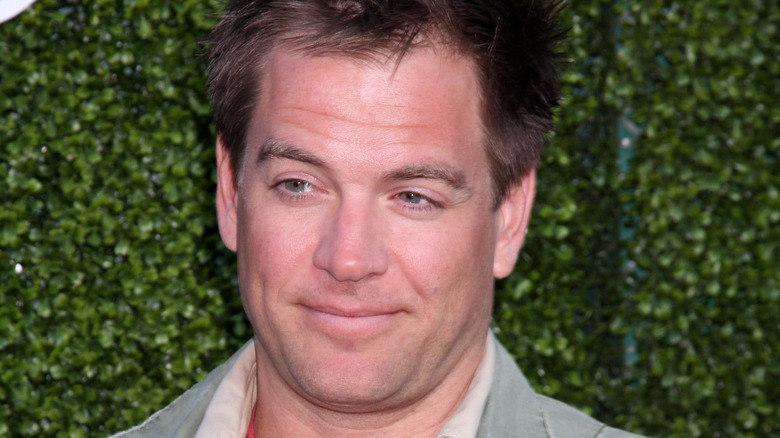 Michael Weatherly pose sur fond vert