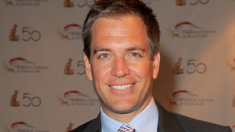 Michael Weatherly est tout sourire