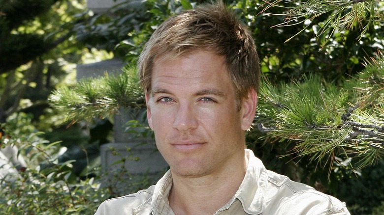 Les cheveux du jeune Michael Weatherly repoussés vers l'avant 