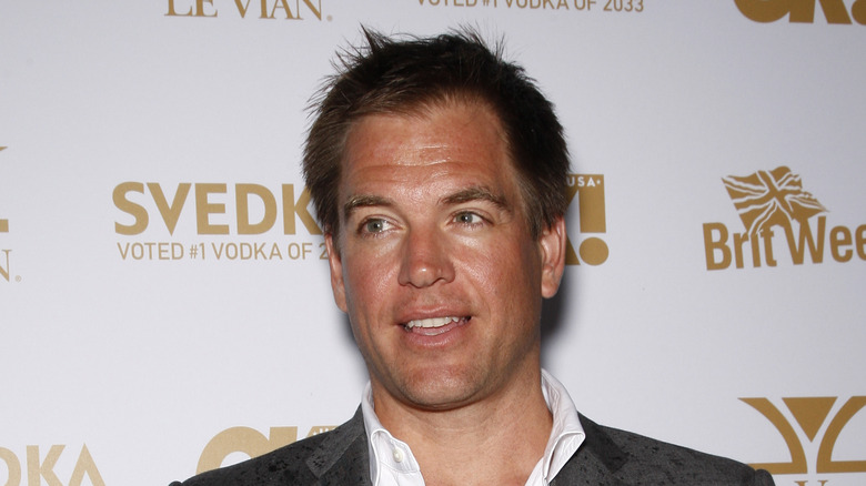 Michael Weatherly sur le tapis rouge