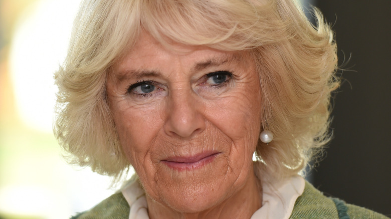 Times Camilla Parker Bowles a complètement enfreint le protocole royal