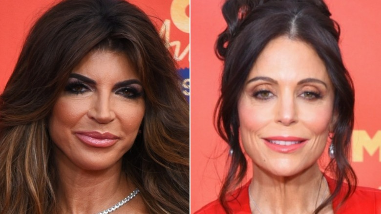 Teresa Giudice posant, Bethenny Frankel souriant