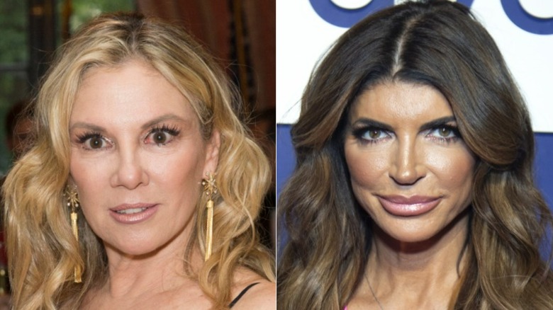 Ramona Singer posant, Teresa Giudice posant