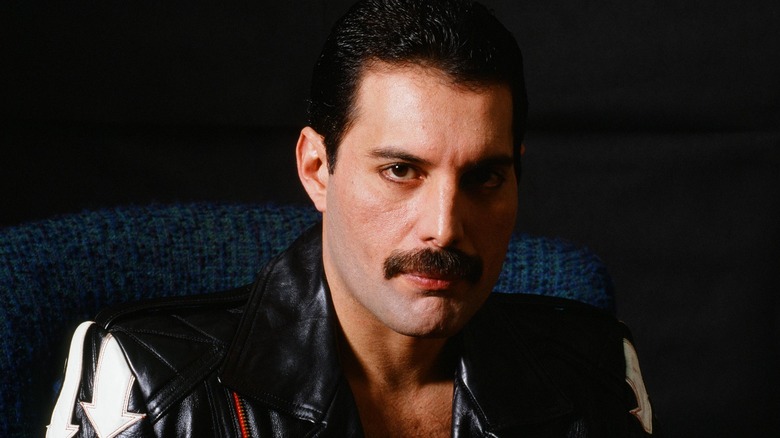 Freddie Mercury posant 