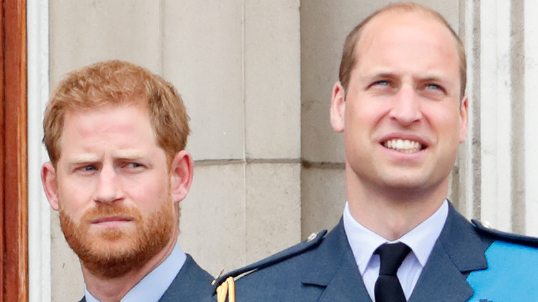 Prince William et Prince Harry 