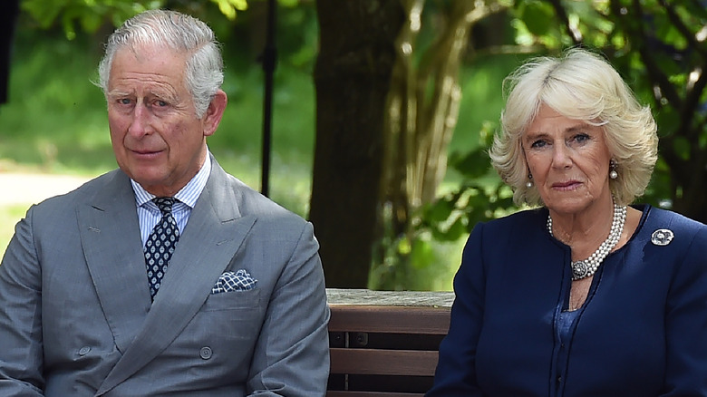 Le roi Charles et Camilla sur banc