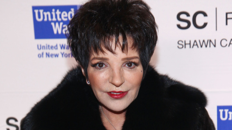 Les choses les plus tristes à propos de Liza Minnelli