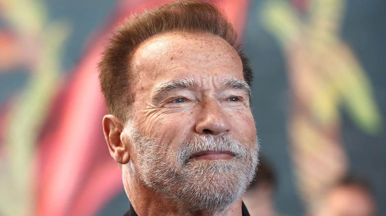 Arnold Schwarzenegger admet son amour persistant pour son ex-femme Maria Shriver