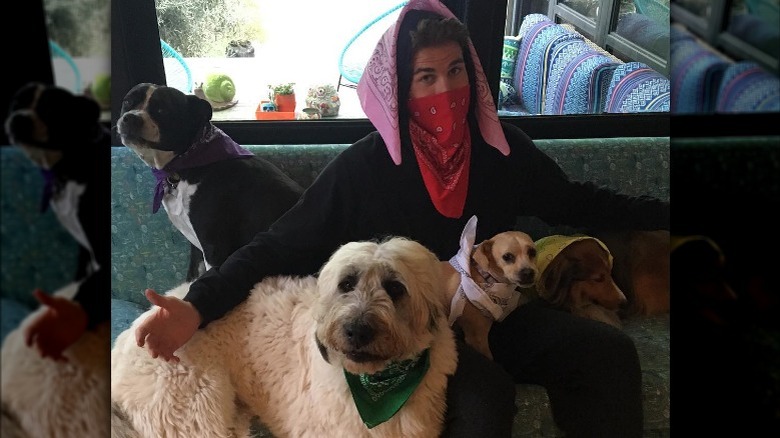 Liam Hemsworth sur un canapé avec des chiens