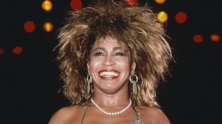 Les célèbres cheveux de Tina Turner