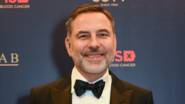 David Walliams ressemblant