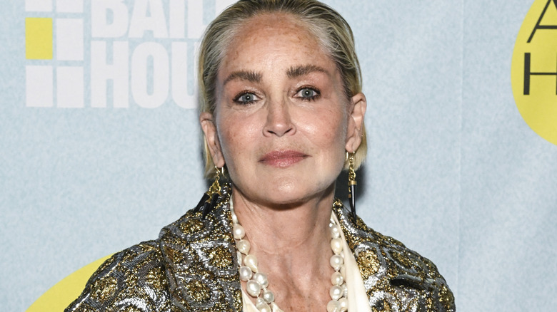 Sharon Stone à New York en 2023