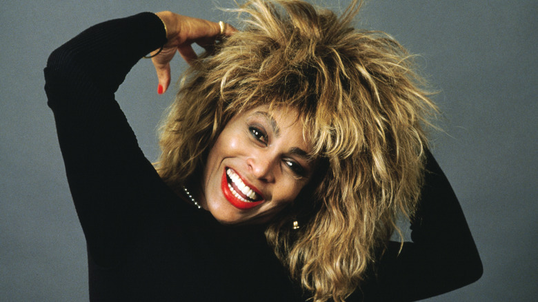 La raison déchirante pour laquelle Tina Turner n’a jamais rencontré l’un de ses petits-enfants