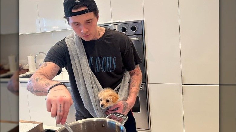 Brooklyn Beckham cuisine avec un chien en écharpe