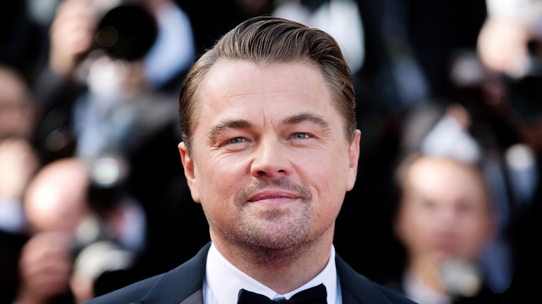 Leonardo DiCaprio pose sur le tapis rouge