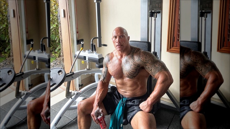 Dwayne Johnson torse nu