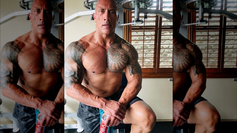 Dwayne Johnson torse nu