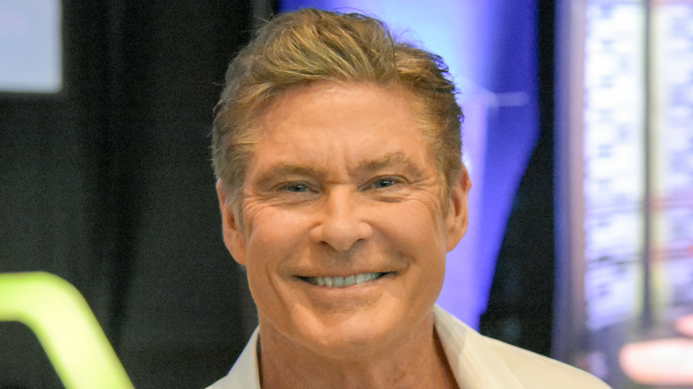 David Hasselhoff souriant