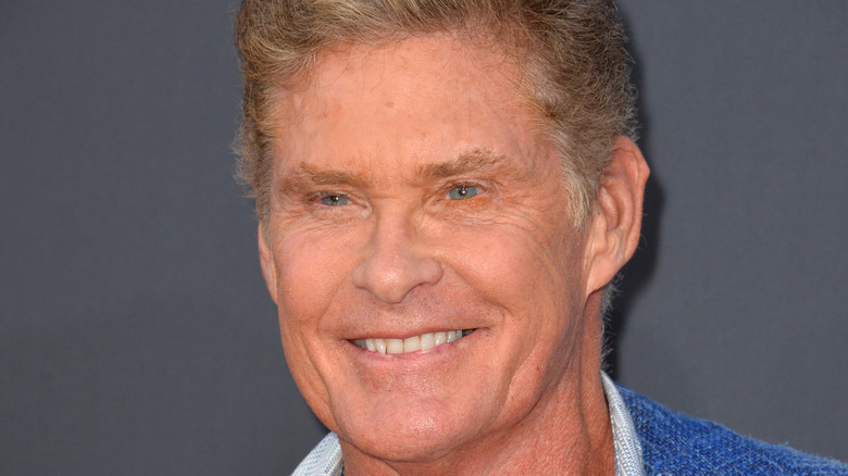 David Hasselhoff souriant.