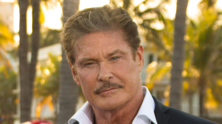 David Hasselhoff avec une moustache.