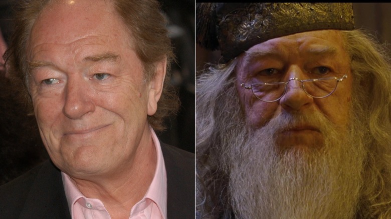 Michael Gambon partage l'image de Dumbledore