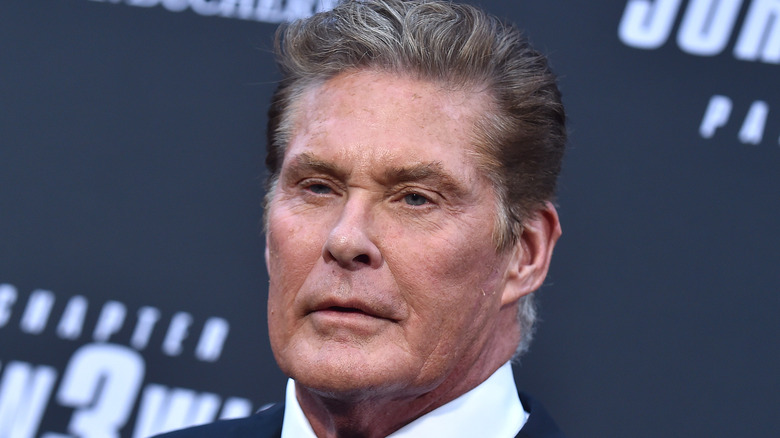 David Hasselhoff tenant un microphone souriant