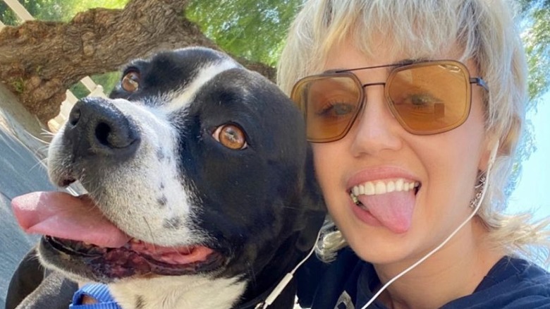 Miley Cyrus pose avec son chien