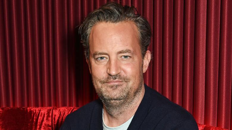 Matthew Perry, posant