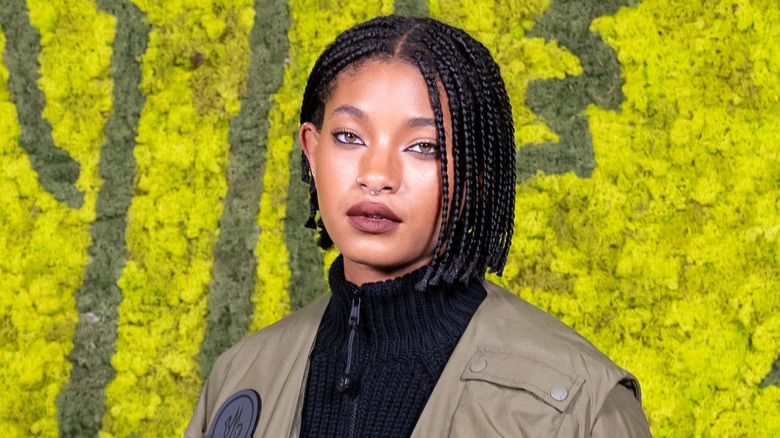 Moments médiatiques que Willow Smith ne pourra jamais effacer