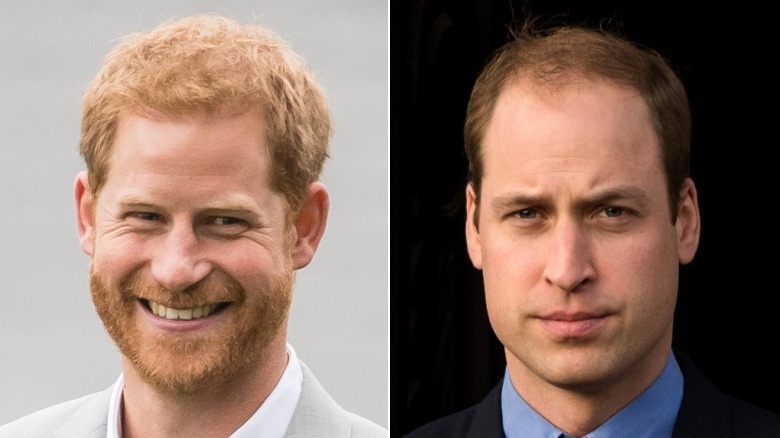 Le prince Harry souriant et le prince William posant pour des photos