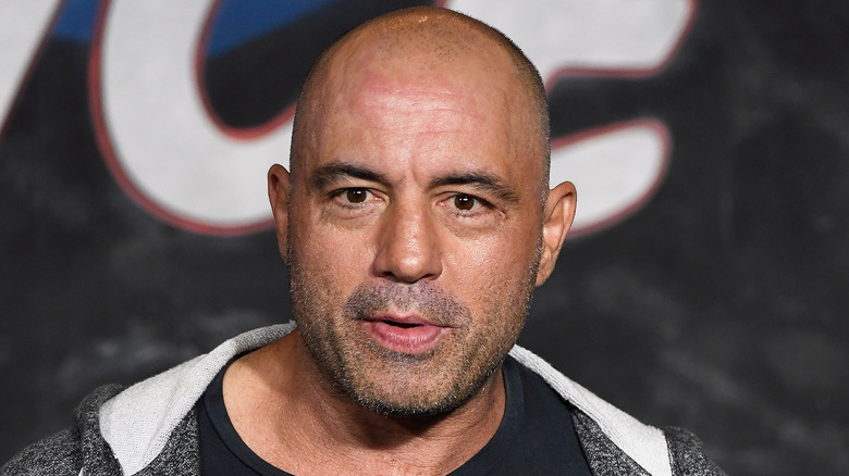 Sweat gris Joe Rogan