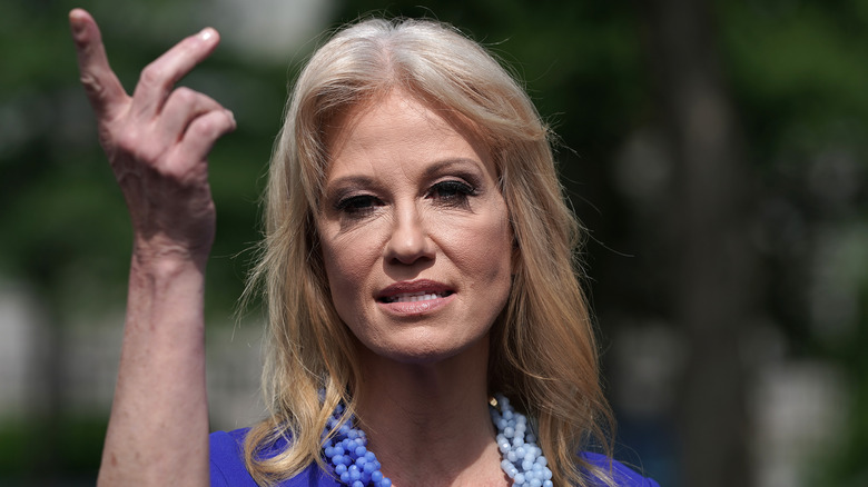 Pourquoi Kellyanne Conway blâme son ex-mari George pour leur séparation