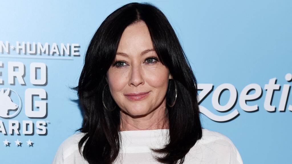 Détails sur le divorce compliqué de Shannen Doherty et Kurt Iswarienko