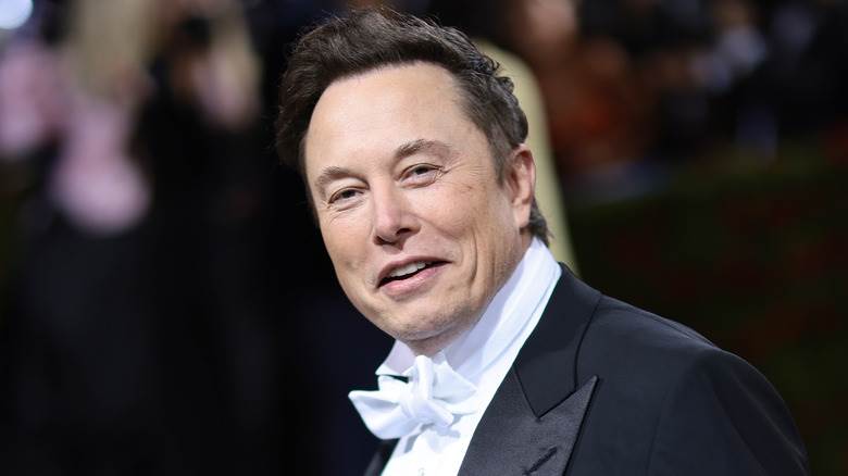 Elon Musk pose